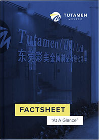 Tutamen Mexico Factsheet